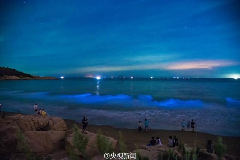 美国26州总检察长致函白宫支持得州：美政府正帮助他人非法进入美国