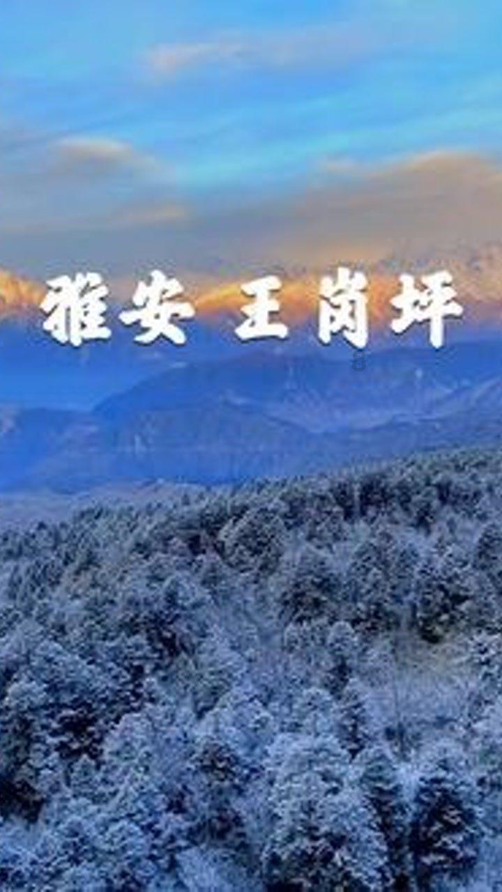 陈立人父亲官员身份被扒，为儿花天价请资深律师，力证他有精神病