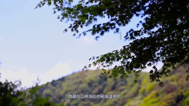 鲜奶运输车找不同