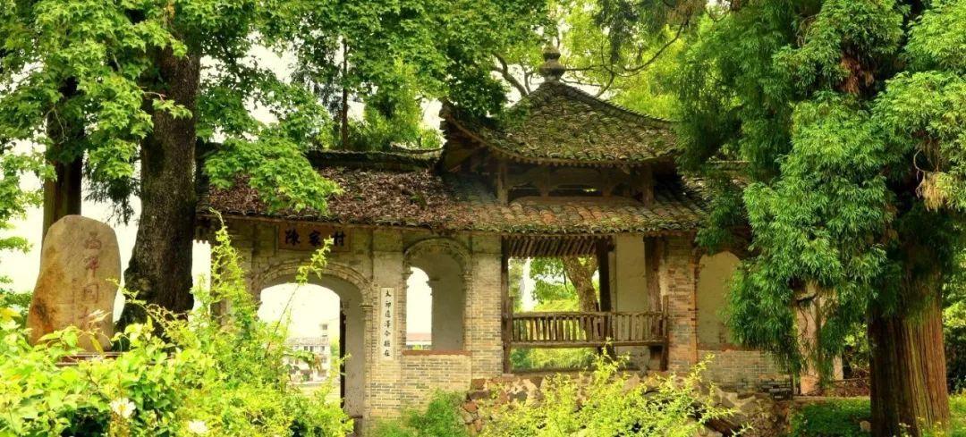 为什么别人装可怜都有人同情他，我也装可怜但大家都觉得我很闹挺？游戏画面