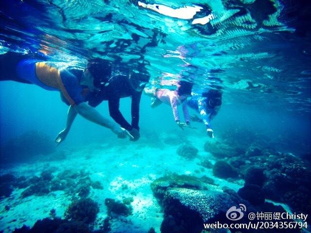 “荧光绿”守护“夕阳红”，东海交警为老人撑起交通“平安伞”