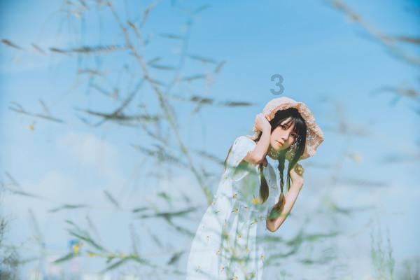 联合国发行中国农历龙年邮票版张