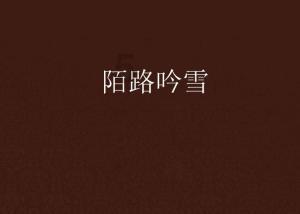 男孩吃鸡腿