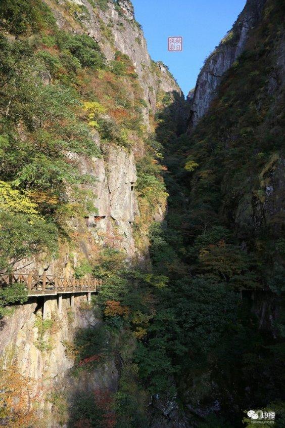 白化摇篮曲