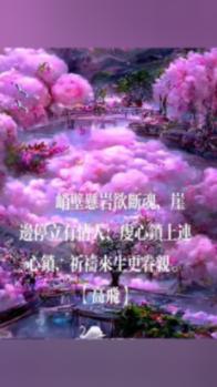 大炮篮球3选关版